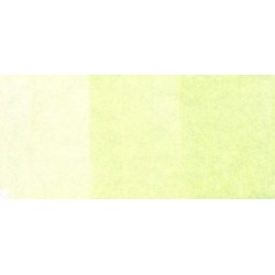 Copic sketch - G20