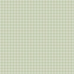 ECHOPARK Pastel Gingham: Salmon Gingham 12x12 Patterned Paper