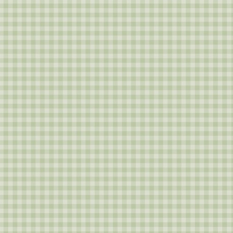 ECHOPARK Pastel Gingham: Salmon Gingham 12x12 Patterned Paper