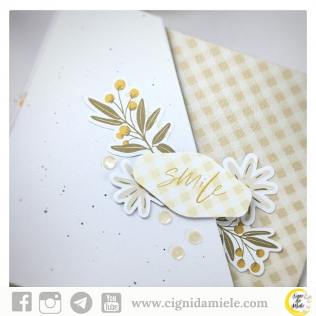 ALBUM SCRAP- PICNIC - diretta FACEBOOK del 13.07.21
