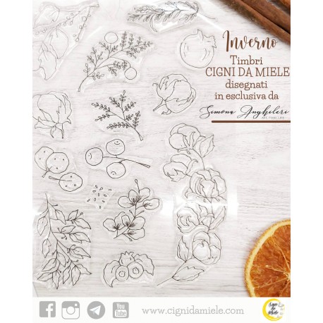 CIGNI DA MIELE - INVERNO disegnati da Simona Anghileri