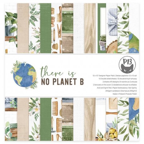 P13 - THERE IS NO PLANET B - 12X12