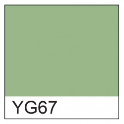 Copic marker - YG91 Moss