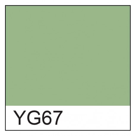 Copic marker - YG91 Moss