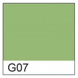 Copic marker - G07 Nile Green