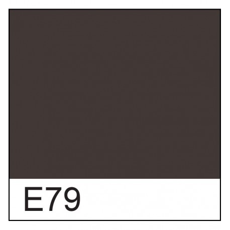 Copic marker - E79 Cashew