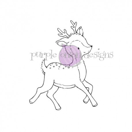 PURPLE ONION - Prancer
