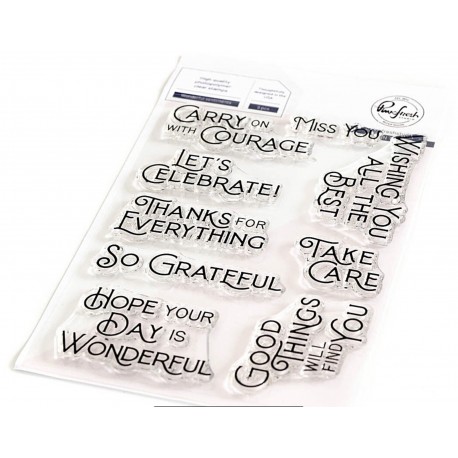 PINKFRESH STUDIO - Wonderful Sentiments stamp