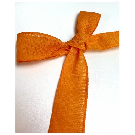 NASTRO TAFFETA' - ZUCCA - 25MM