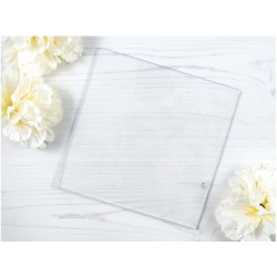 PURPLE ONION - Clear Mounting Stamp - 6 x 6