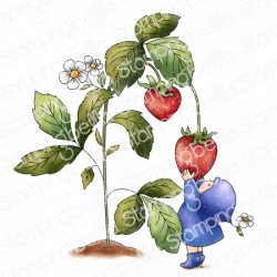 STAMPINGBELLA - Bundle Girl loves Strawberries