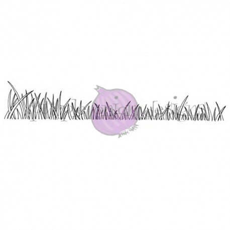 PURPLE ONION - Stacey Yacula - Grassy Shore