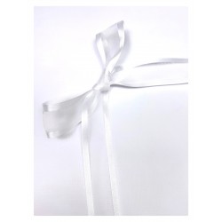 NASTRO ORGANZA CON BORDO - BIANCO - 25MM
