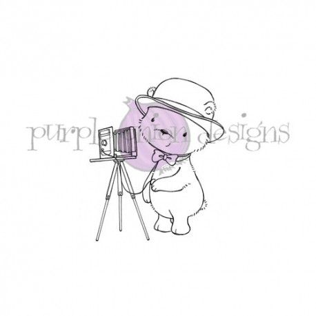 POD - Huebert (Bear Photographer)