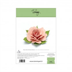 TOMMY FUSTELLE - Rose
