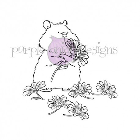 PURPLE ONION - PICKING DAISIES
