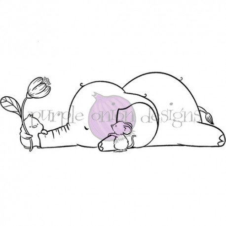 PURPLE ONION - BUBBLE BATH TIME